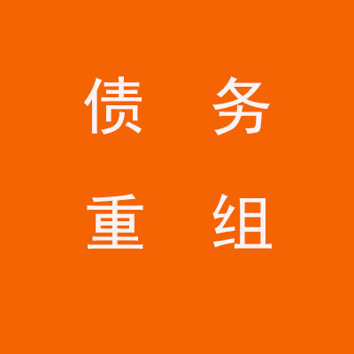 普格个人债务重组优化